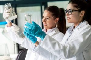 Ghostwriting Hausarbeit schreiben lassen Biologie