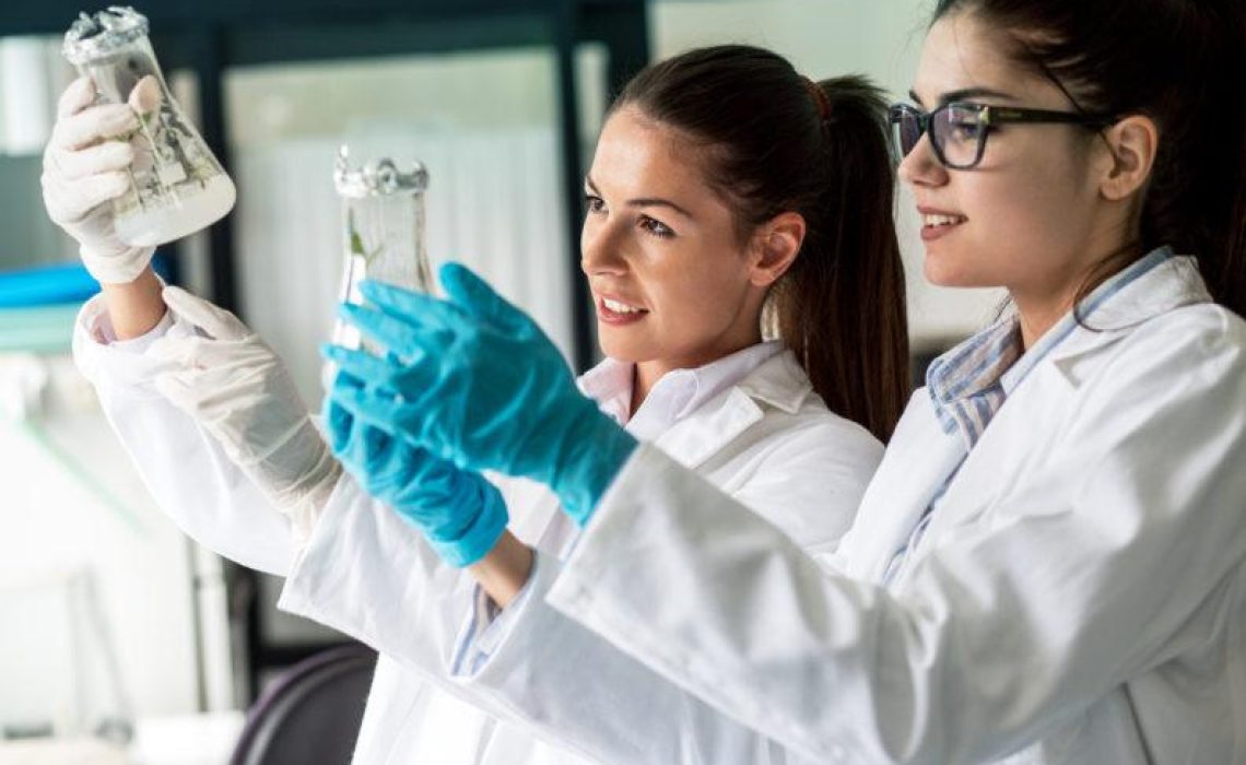 Ghostwriting Hausarbeit schreiben lassen Biologie Ghostwriting Hausarbeit schreiben lassen Biologie